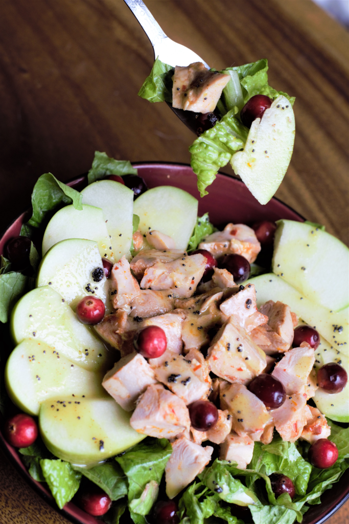 Chicken Cranberry Apple Salad with Lemon Poppyseed Dressing | Mountain Cravings